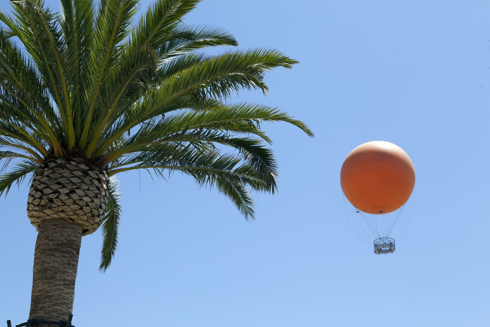 The Great Park’s orange balloon rising past a date palm into a clear sky